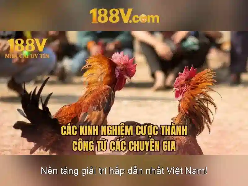 slot 188V